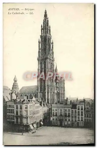 Cartes postales Anvers Belgique La Cathedrale
