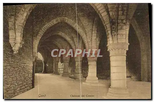 Cartes postales Gand Chateau des Comtes
