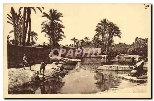 Cartes postales Marrakech Un Coin De La Palmeraie