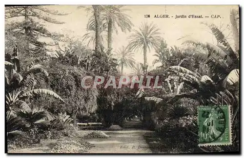 Cartes postales Alger Jardin d Essai