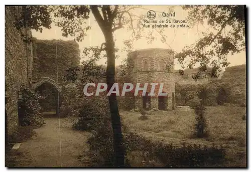 Cartes postales Gand Ruines de St Bavon Vue Generale du Preau