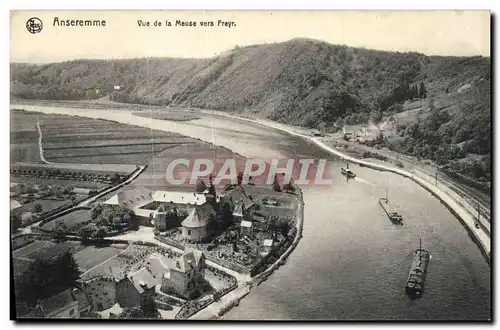 Cartes postales Anseremme Vue de la Meuse Vers Freyr