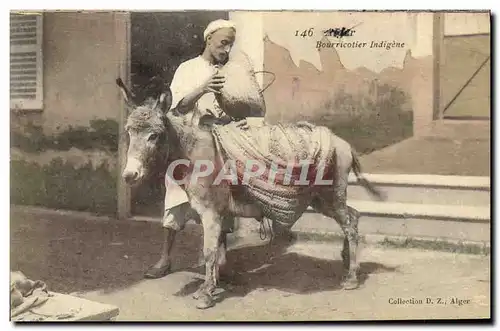 Cartes postales Bourricotier Indigene Algerie Ane