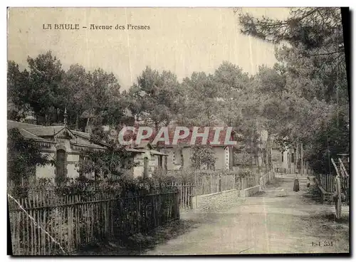 Cartes postales La Baule Avenue des Fresnes