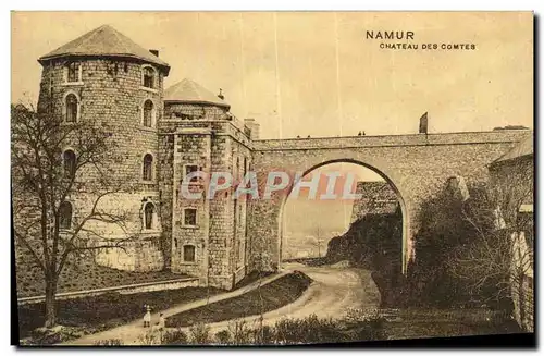 Cartes postales Namur Chateau Des Comtes