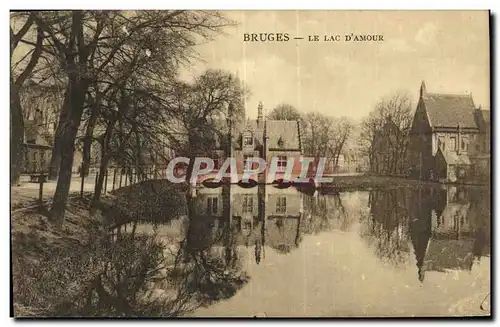 Cartes postales Bruges Le Lac D Amour