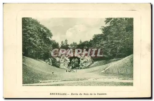 Cartes postales Bruxelles Ravin du Bois de la Cambre