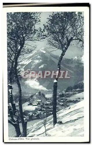 Cartes postales Chateau d Oex Vue Generale