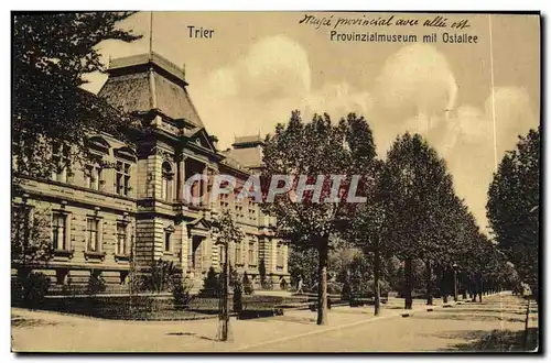 Cartes postales Trier Provinzialmuseum mit Osdtallee