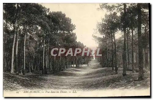 VINTAGE POSTCARD Arcachon Seen In Dunes