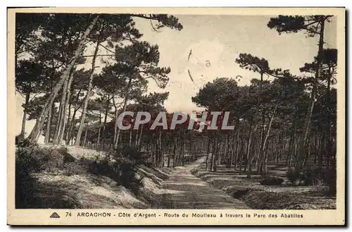 Cartes postales Arcachon Cote d Argent Route du Moulleau a travers le parc des Abatilles