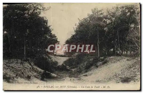 Cartes postales Soula sur Mer Un Coin de Foret