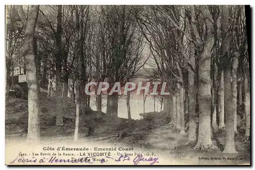 Cartes postales Les Bords de la Rance La Vicomte Un Sous Bois