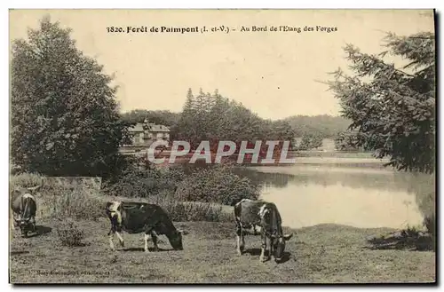 Ansichtskarte AK Foret de Paimpont Au Bord de l Etang des Forges Vaches