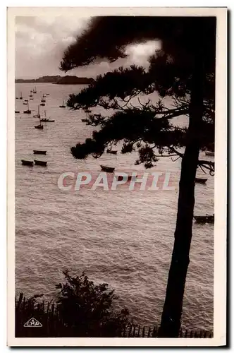 Cartes postales Cancale Contre jour