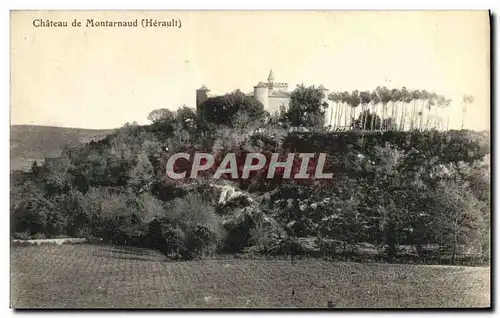 Cartes postales Chateau de Montarnaud