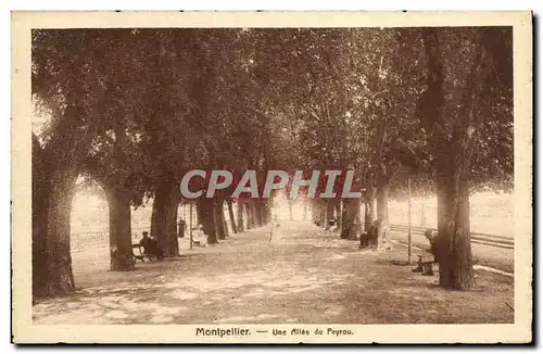 Cartes postales Montpellier Une Allee du Peyrou