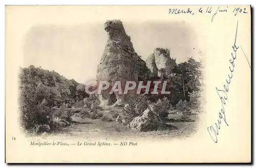 Cartes postales Montpellier Le Vieux Le Grand Sphinx