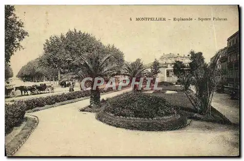 Cartes postales Montpellier Esplanade Square Palavas