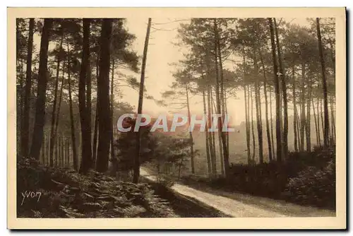 Cartes postales La Douce France Les Landes de Gascogne Route de Leon a Moliets