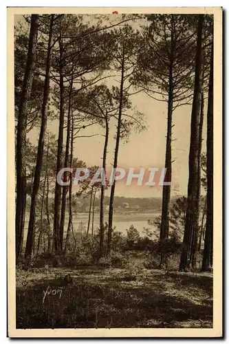 Cartes postales Hossegor Le Lac masson delicieusement cache dans la foret