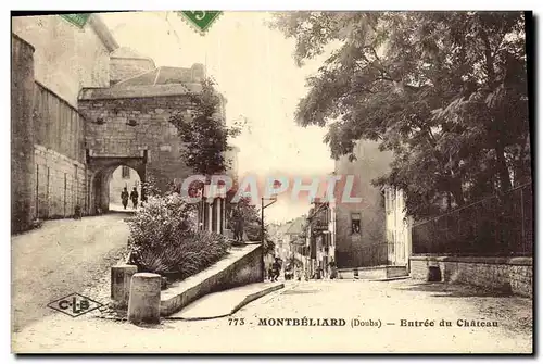 Cartes postales Montbeliard Entree du Chateau