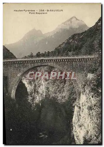 Cartes postales Hautes Pyrenees St Sauveur Pont Napoleon