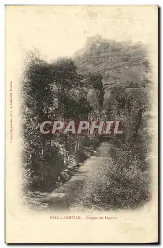 Cartes postales Sail sur Couzan Gorges du Lignon