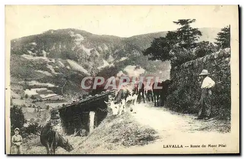 Cartes postales Lavalla Route du Mont Pilat Vaches