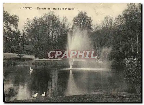 Cartes postales Nantes Un Coin du Jardin des Plantes