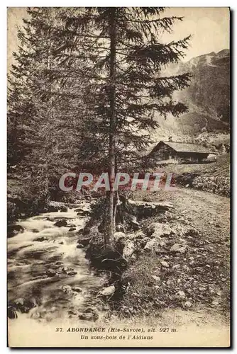 Cartes postales Abondance Un Sous Bois de l Aidans