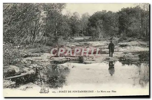 Ansichtskarte AK Fontainebleau La Mare aux Fees