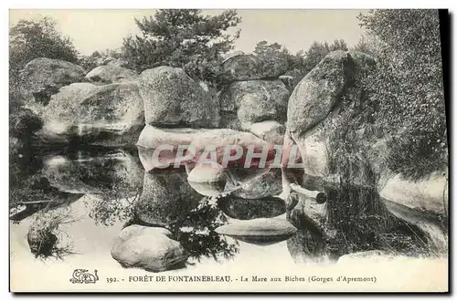 Ansichtskarte AK Foret Fontainebleau La Mare aux biches Gorges d Apremont