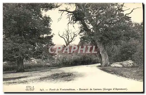 Cartes postales Foret Fontainebleau Foret Dormoir de Lantara Gorges d Apremont