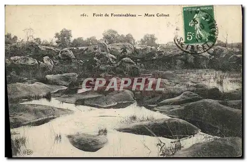 Cartes postales Foret Fontainebleau Foret Mare Colinet