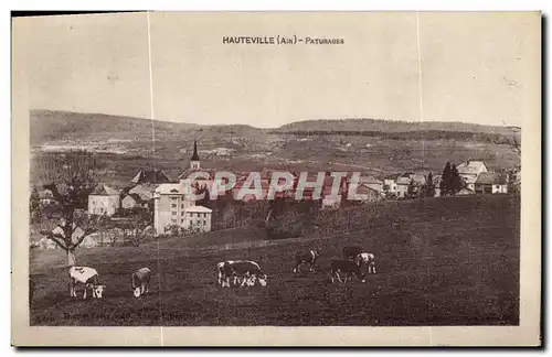 Cartes postales Hauteville Paturages Vaches