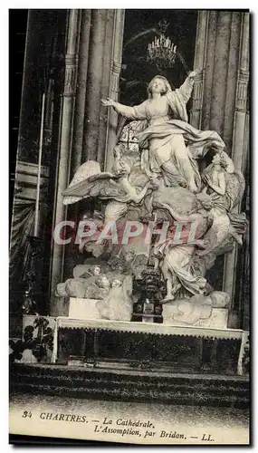 Cartes postales Chartres La Cathedrale L Assomption Par Bridan