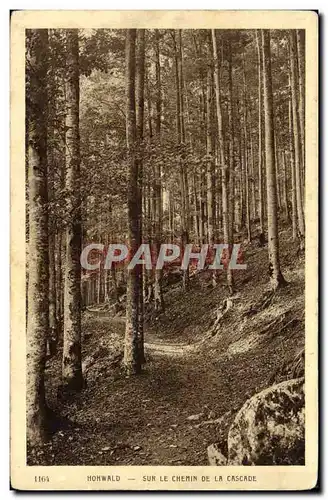 Cartes postales Hohwald Sur le Chemin de la Cascade