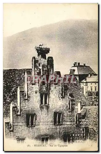 Cartes postales Selestat Nid de Cigognes