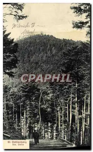 Cartes postales Ste Odilienberg Ste Odile