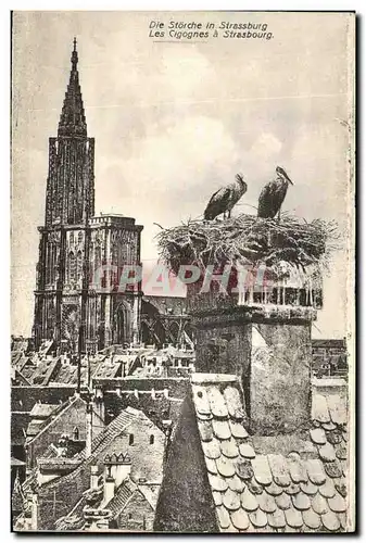 Cartes postales Les Cigognes a Strasbourg