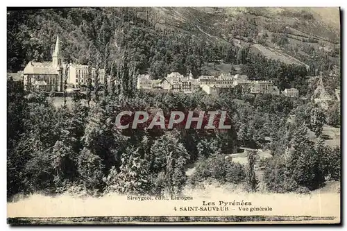 Cartes postales Saintt Sauveur Vue generale