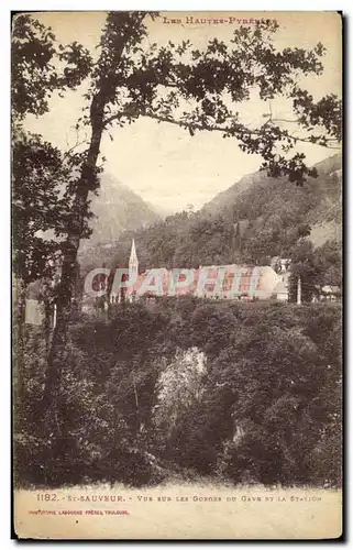 Cartes postales St Sauveur Vue sur les Gorges du Gave et la Station