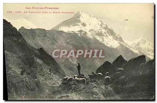 Cartes postales Luz Un Troupeau Dans La Haute Montagne Berger et moutons