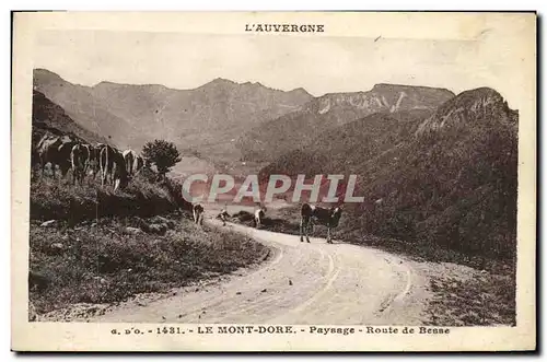 Ansichtskarte AK Le Mont Dore Paysage Route de Besse Vaches