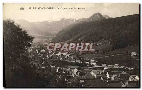 Cartes postales Le Mont Dore Le Capucin et la Vallee