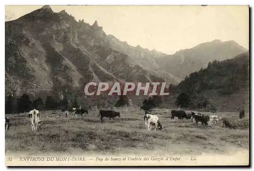 Ansichtskarte AK Environs du Mont Dore Puy de Sancy et l entree des gorges d enfer Vaches