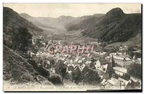 Cartes postales Le Mont Dore Vue Generale La Vallee de la Dogne et le Capucin