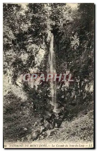 Ansichtskarte AK Environs du Mont Dore La Cascade du Saut du Loup