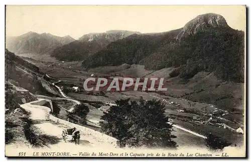 Cartes postales Le Mont Dore Vallee du Mont Dore et le Capucin pris de la route du lac Chambon